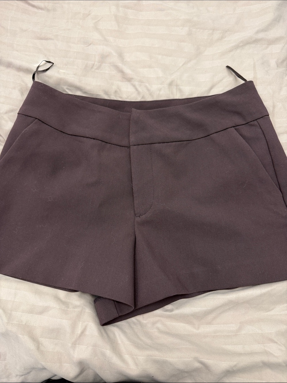 Zara High-Waist Tailored Shorts in Plum
